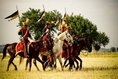 marengo-060