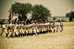 marengo-274