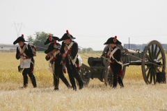 mg 0193